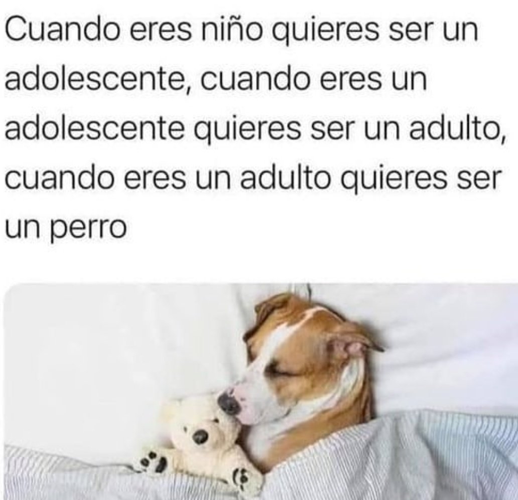rumbera12345's tweet photo. Buenas tardes ! a veces pasa ..Cada dia amo más a los animales ! #aprenderdeellos #amorperruno https://t.co/FPasqQU6KK