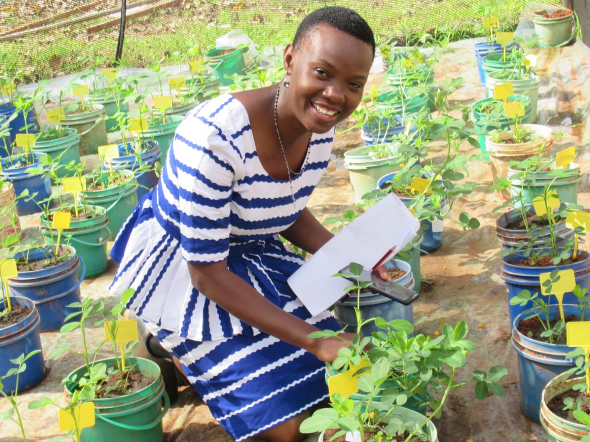 Autumn graduation
Dr Happy Makuru Daudi, Tanzania
PhD Thesis Title:
Breeding Groundnut (Arachis hypogaea L.) for Rust Resistance in Tanzania
Read more: bit.ly/3wyH9zS