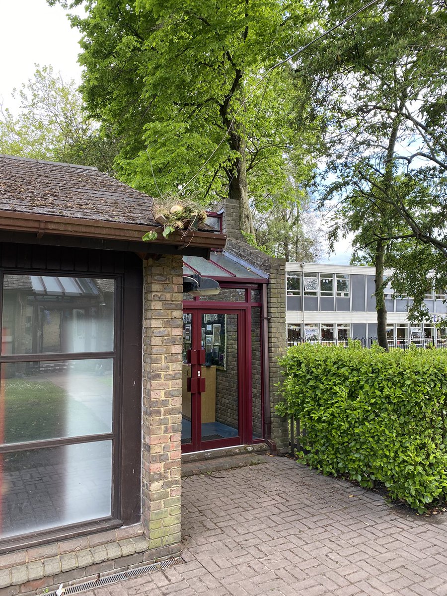 SadiePhillips's tweet photo. My clever, creative friends in Y1 are having lots of fun in English this week. The children discovered a golden egg on the roof and their classroom has been abuzz with theories and ideas ever since! #englishchat #primaryenglish https://t.co/2ItaVtxV60