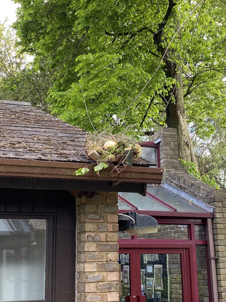 SadiePhillips's tweet photo. My clever, creative friends in Y1 are having lots of fun in English this week. The children discovered a golden egg on the roof and their classroom has been abuzz with theories and ideas ever since! #englishchat #primaryenglish https://t.co/2ItaVtxV60