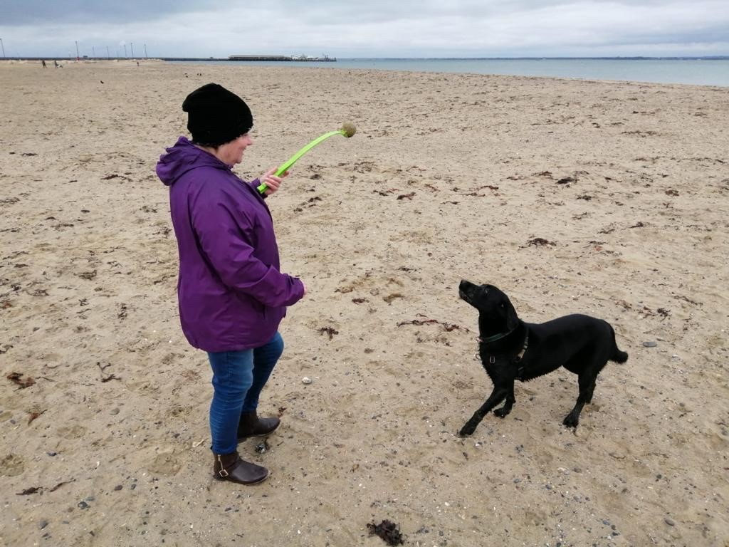 SouthernHsg_UK's tweet photo. Meet Michele, a resident at #ArgyllStreet, our #IsleOfWight care scheme 👋🏻
Michelle says “The staff are lovely and have helped me to gain independence”. She particularly enjoys beach walks with the homes' assistance dog, Caddie 🐶
Find out more 👉 https://t.co/nHafICQbpr https://t.co/uX2zF0UK1m