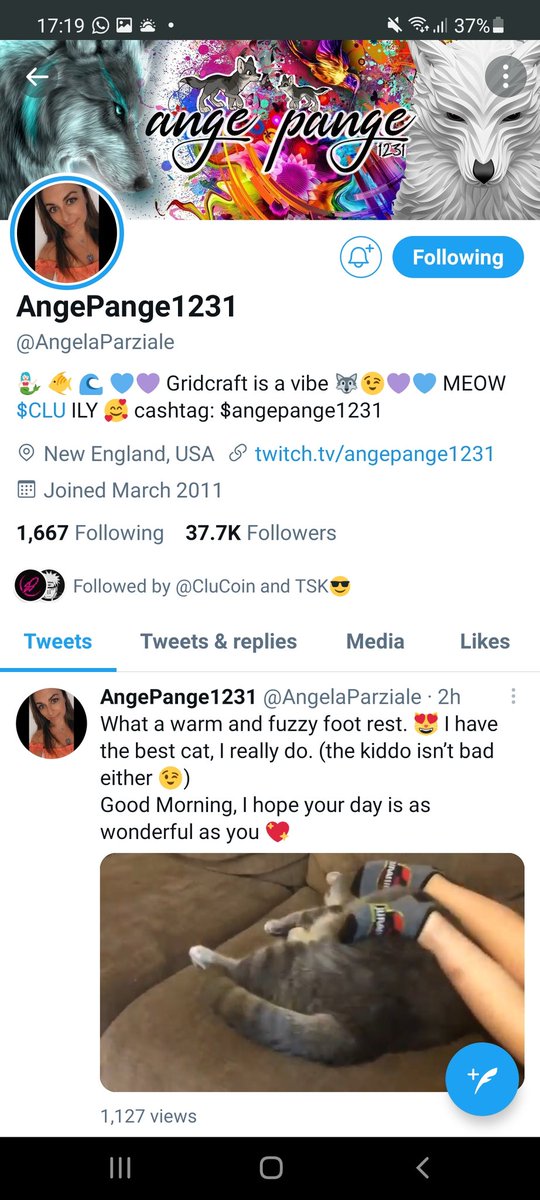 Kevin bryan tweet media