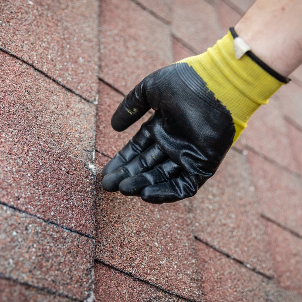 beantownbuilder's tweet photo. If you see shingles bruising, cracking, or loosing granules, it may be time for a roof replacement. https://t.co/6qf1TW1TxP