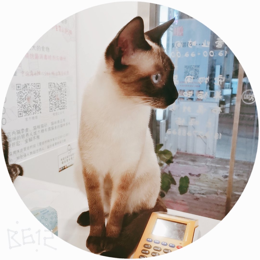 シャム猫ほんと好き 西名 のイラスト シャム猫ほんと好き 西名 のイラスト
