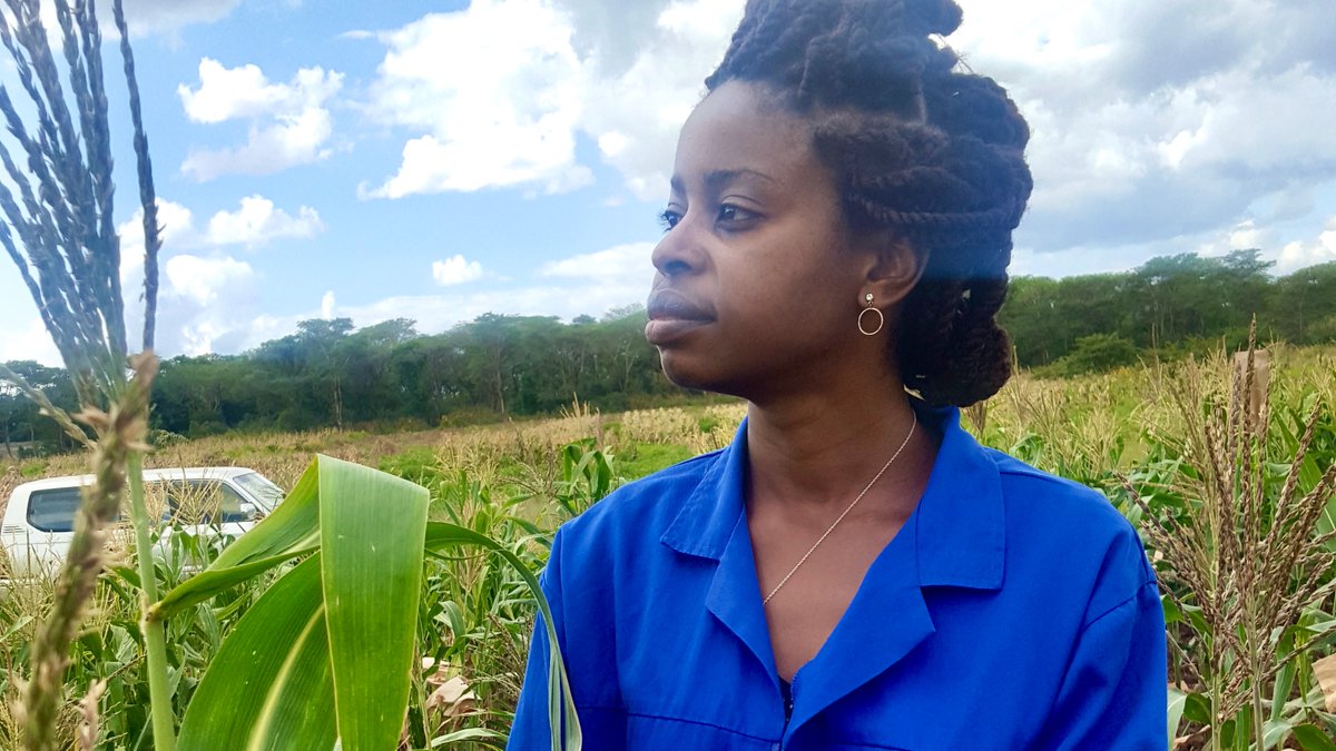 Autumn graduation
Chapwa Kasoma, Zambia
PhD Thesis Title:
Breeding Maize for Tolerance to the Fall Armyworm (Spodoptera frugiperda), Improved Yield and Yield-related Traits
Read more: bit.ly/37nUYrj
@AGRAAlliance