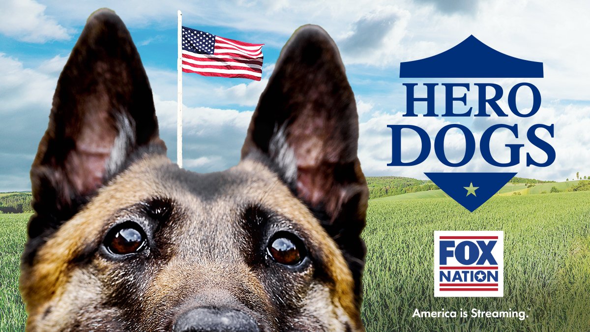 Fox Nation on Twitter "Meet the brave K9s who have protected America