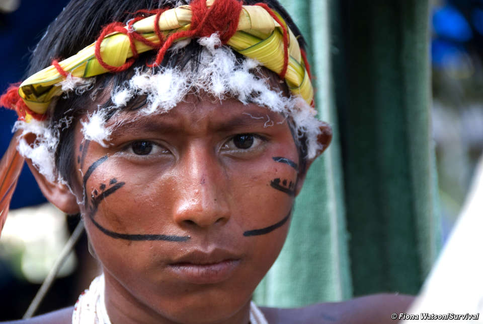 Племя в бразилии яномами. Индейцы племени яномамо. Мир наизнанку индейцы яномами. Амазонка индейцы яномамо. Мир наизнанку бразилия племя яномами.