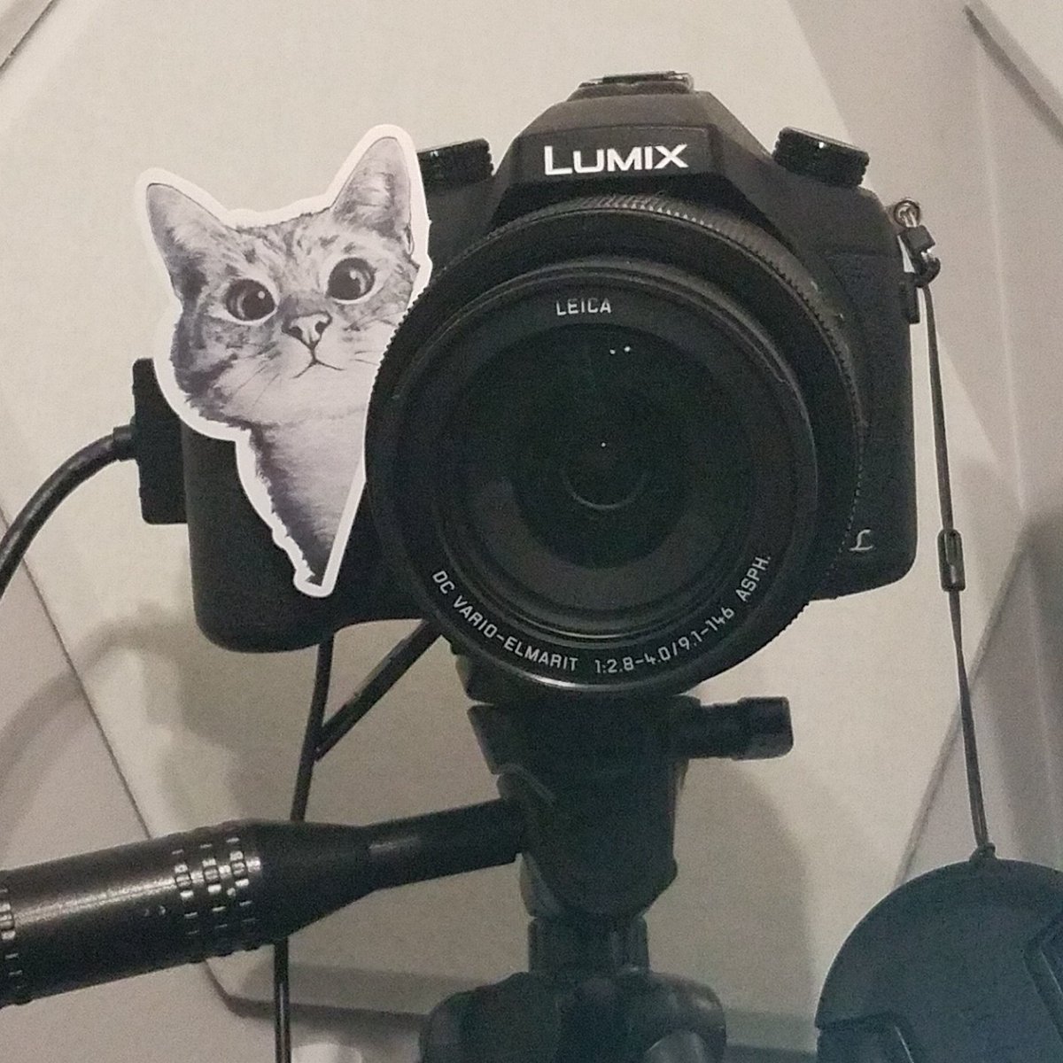 d3MoGames's tweet photo. Finding creative ways to look at the cam when talking to chat while streaming 😂 #streamerhacks https://t.co/Tb5MsYpX0U