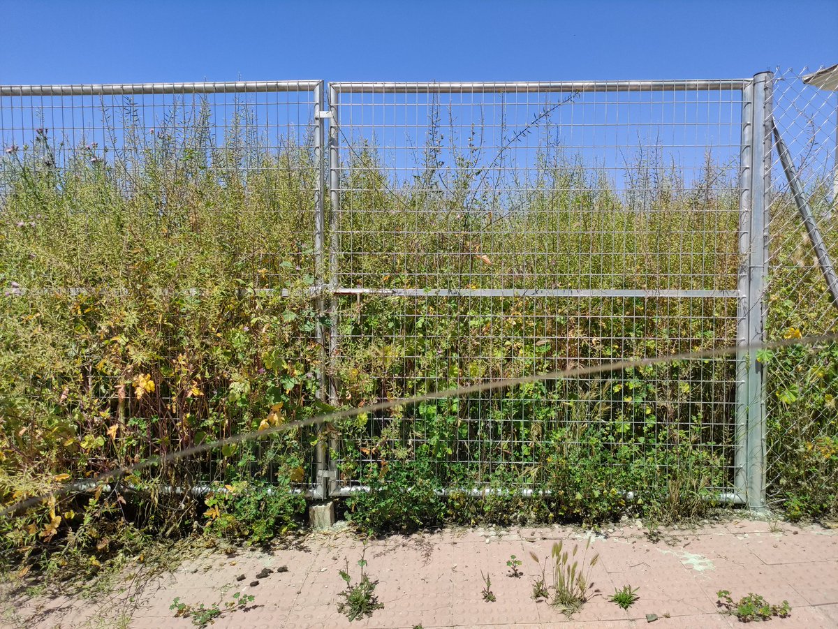 Victor Castillo/♥️ tweet media