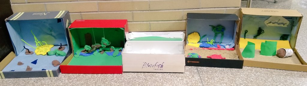 thequeen526's tweet photo. 2nd graders created habitat dioramas after studying them. @SyringDragons @swartz_creek @scteacher1 https://t.co/40qMsDD1XU