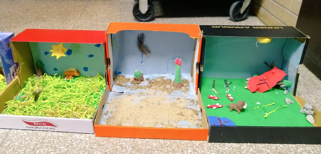 thequeen526's tweet photo. 2nd graders created habitat dioramas after studying them. @SyringDragons @swartz_creek @scteacher1 https://t.co/40qMsDD1XU