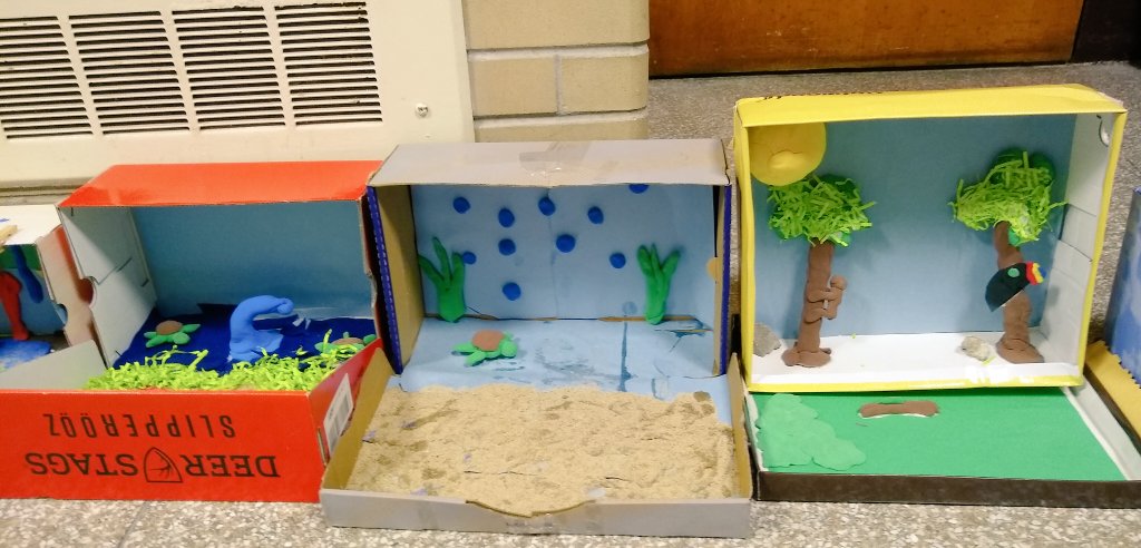 thequeen526's tweet photo. 2nd graders created habitat dioramas after studying them. @SyringDragons @swartz_creek @scteacher1 https://t.co/40qMsDD1XU