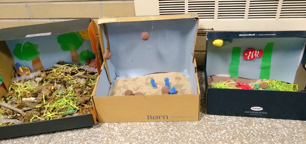 thequeen526's tweet photo. 2nd graders created habitat dioramas after studying them. @SyringDragons @swartz_creek @scteacher1 https://t.co/40qMsDD1XU