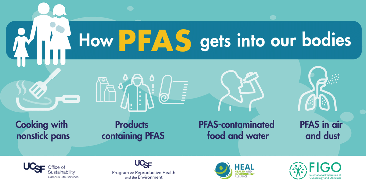 FIGOHQ's tweet image. You may not recognise the name #PFAS, yet you’re likely to come in contact with these toxic chemicals on a daily basis.

Find out why FIGO, @HealthandEnv and @UCSF_PRHE are concerned about these #ForeverChemicals at ow.ly/qeTi50EUTDd

#environmentalhealth #BanPFAS