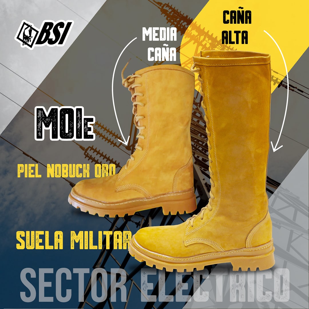 CALZADOS BSI (@admdisbot01) / Twitter