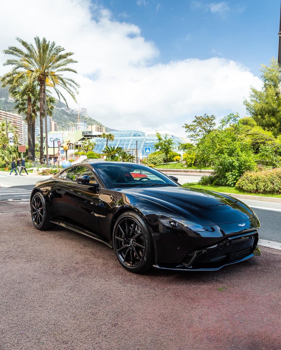 carpxrnpicx's tweet image. Vantage