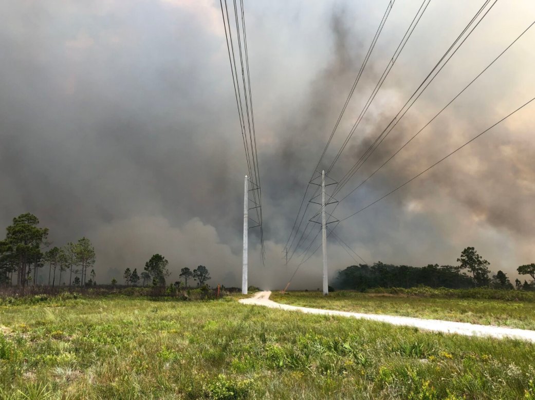 CBS12's tweet photo. BREAKING UPDATE: The #TreeFrogFire in St. Sebastian River Preserve Park is now fully contained at 1,150 acres: https://t.co/OqIfQEKEih https://t.co/y10Dq8gjYF
