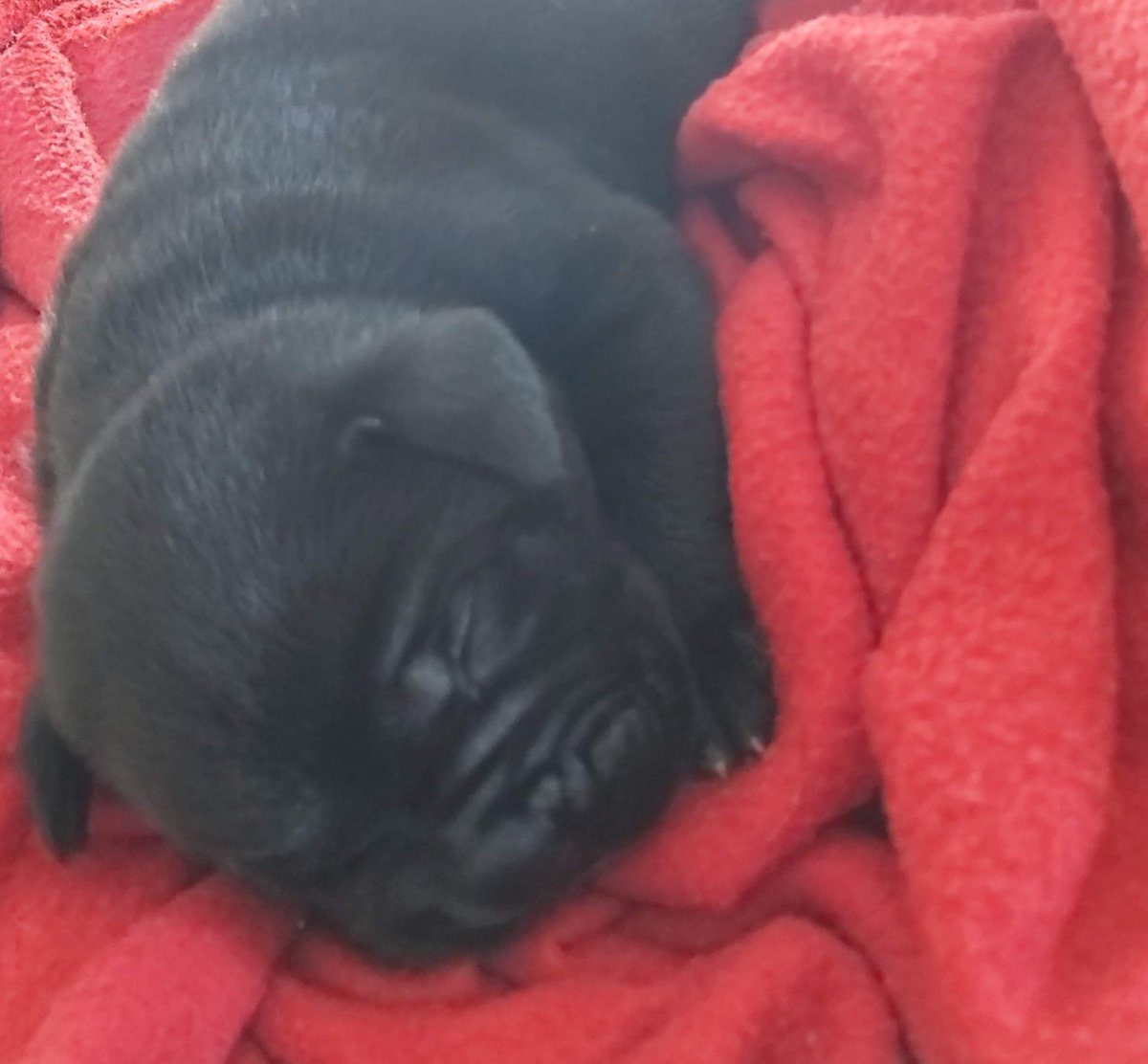 nexcanecorso's tweet photo. #Tbt https://t.co/7mnsipGJMx