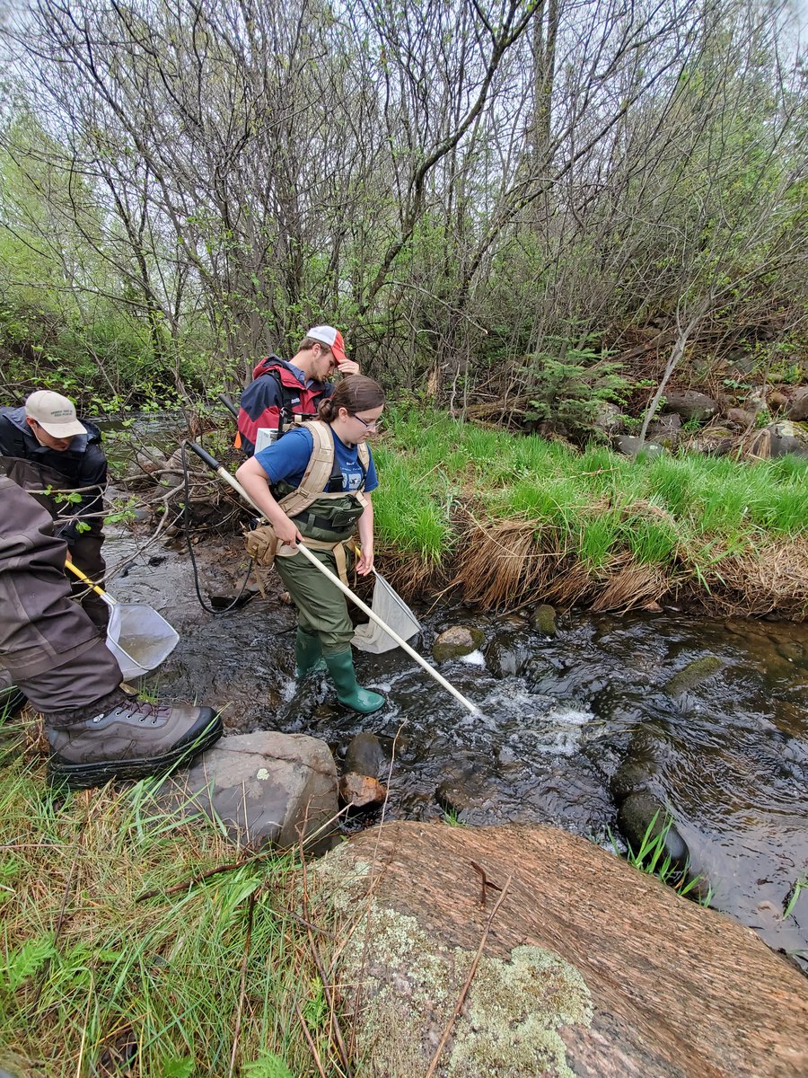 EcotoxicologyL's tweet photo. Just came back from UP MI after teaching a week to our Aquatic Sciences Majors.
Thanks to Cort Mycroft for making things run smooth. Thanks to TAs Dr. Hoskins, Avery and Alex for all of ypur hard work.
And thanks to the hospitality of Iron River and @CovenantPoint 
@PurdueFNR https://t.co/viFxu5OMbF