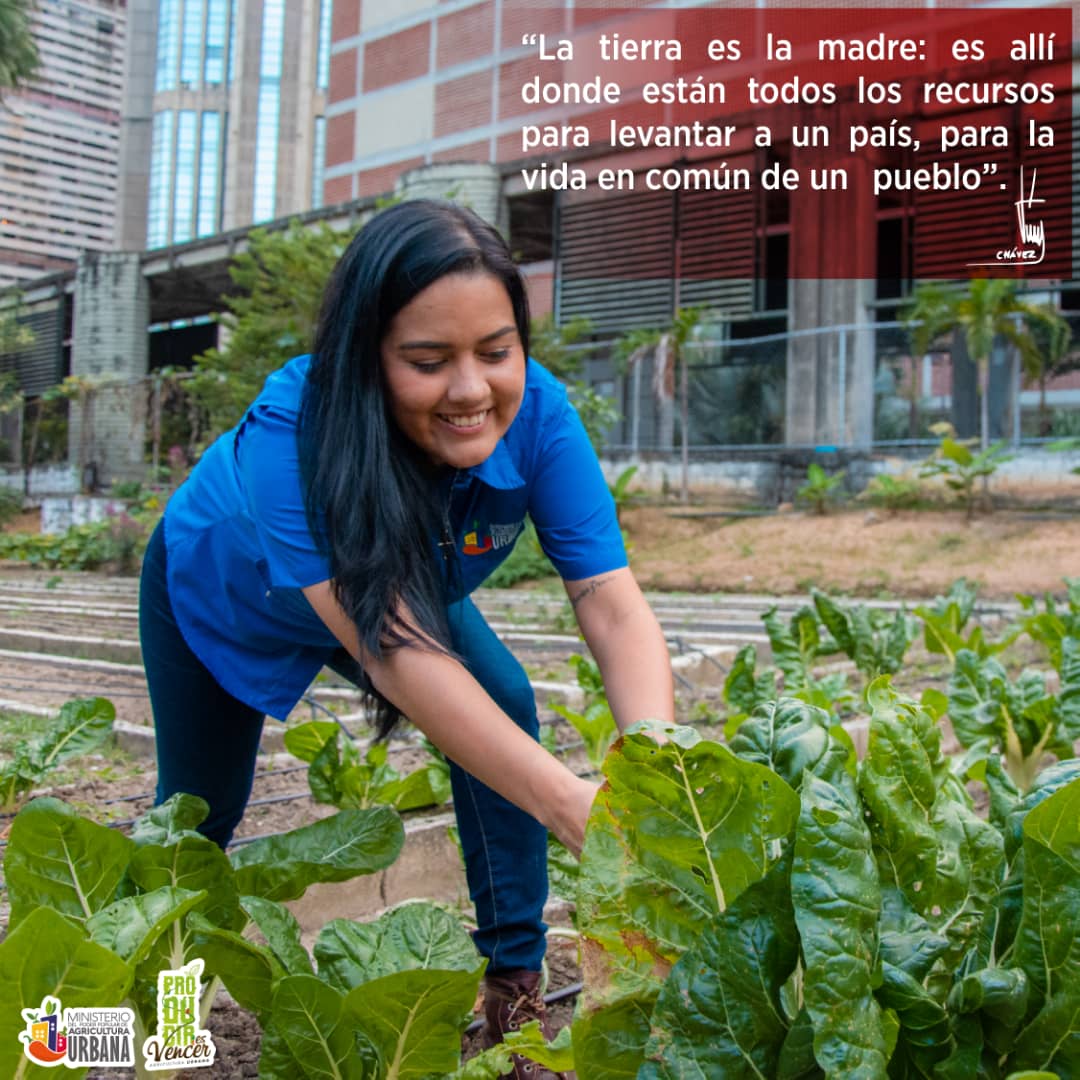 #25Mayo | La Agricultura Urbana, se ha convertido en un nuevo estilo de vida, un movimiento con identidad y propósitos claros.

¡Juntos la hacemos posible!
#PalestinaLibre
#FreePalestine