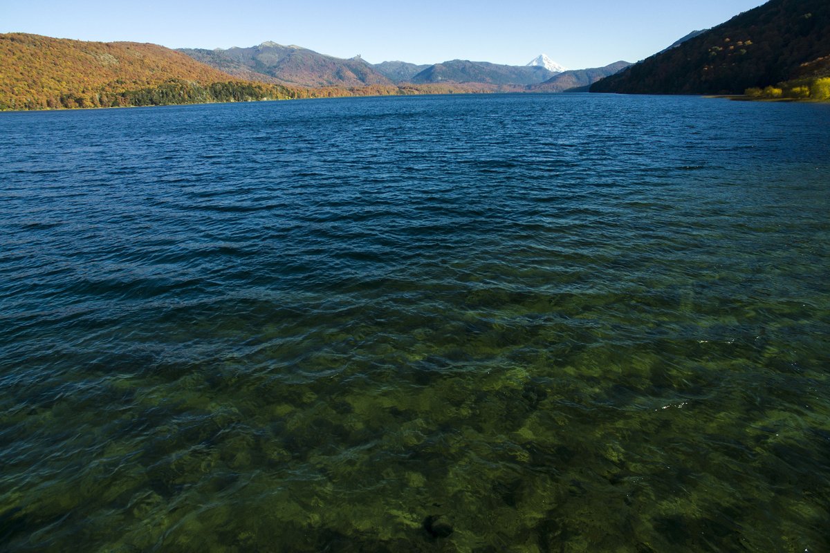neuquentur's tweet photo. 🚶‍♂️🚶‍♀️Damos un paseo por el Parque Nacional Lanín, zona Lago Quillen. 😍 Otoño 💯🍂🍂

Neuquén es #NaturalmenteBella 😉
Seguimos cuidándonos y manteniendo las medidas de prevención. 🙏😷 https://t.co/Mn4hV9FdJW