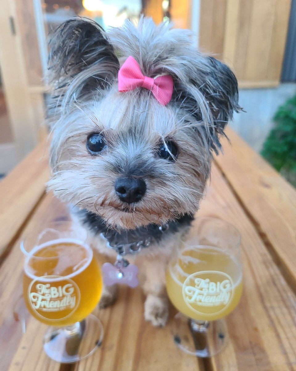 Beer Hop OKC tweet media