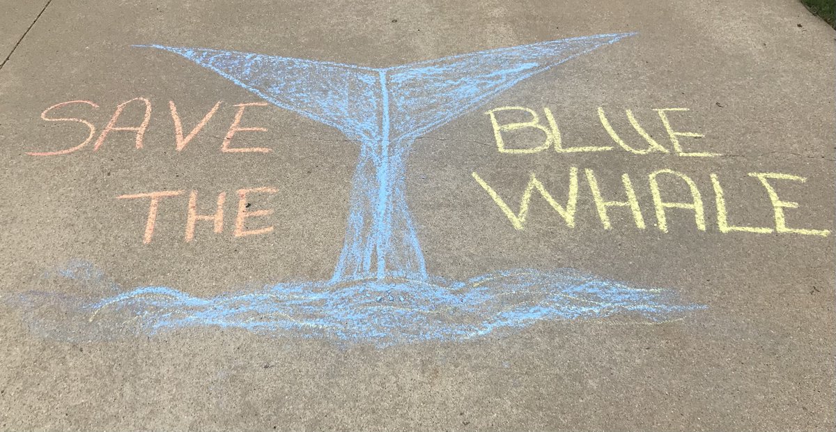 GottaBeCrazy2's tweet photo. #GISH2021 #GISHFest #item27: Create a sidewalk chalk or chalk art piece calling for the protection of an endangered species. #GISH #EndangeredSpeciesChalkArt https://t.co/Z3Xhij4nut