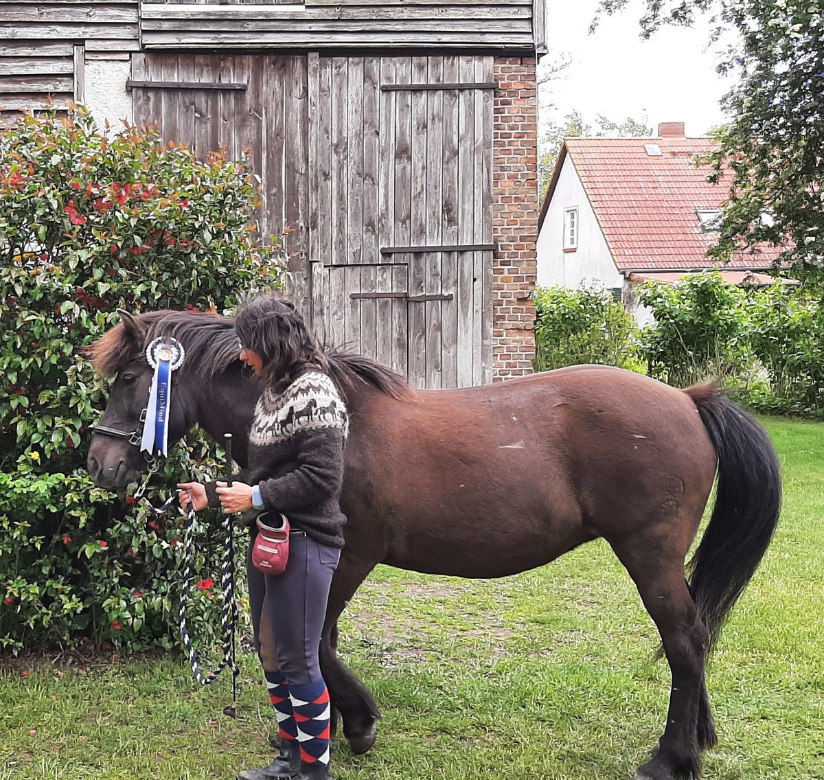 ResiBerlin's tweet photo. Perlas und meine erste Schleife, haben wir bei @equimind_silke @EquiMindShows gewonnen. Wir freuen uns auf zukünftige Turniere und neue Inspirationen...
#equimind #islandpferd #icelandichorse #training #bodenarbeit #pferd #pferde #pferdeliebe https://t.co/qBQetvUPKN