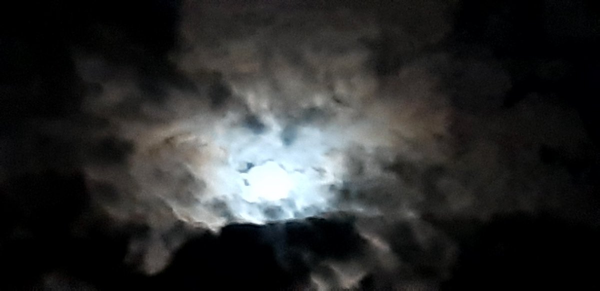 Quizfrage: was ist das?