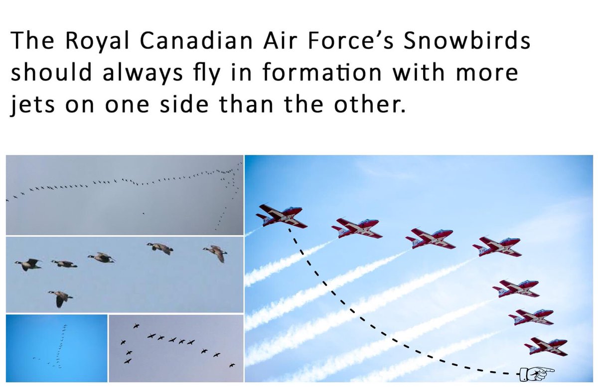 JIMWICh's tweet photo. I don't often feel the need to offer advice to our Canadian friends, but I'm just sayin'... #canada #canadians #rcaf #snowbirds #geese #nature #assymetry https://t.co/3dQjVJKuXF