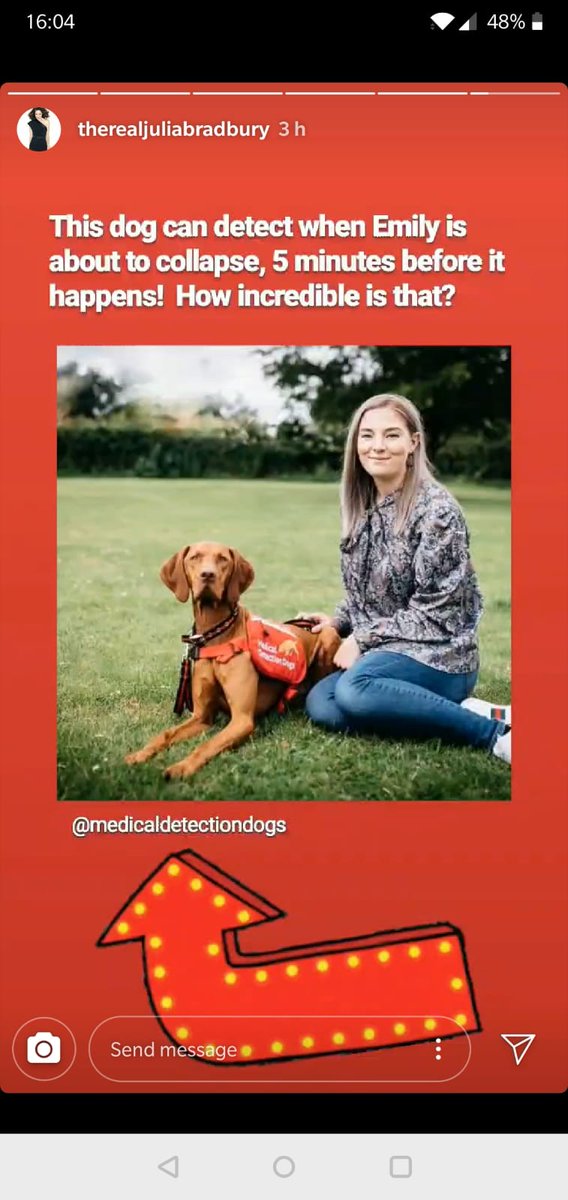 dibblescook's tweet photo. Thank you to the staff and passengers on the tram today helping my daughter Emily keep safe after #Barnatheassistancedog alerted her to an oncoming collapse. @NETTram @MedDetectDogs #assistancedog #vizsla #noambulanceneeded https://t.co/lbtroKKdIS
