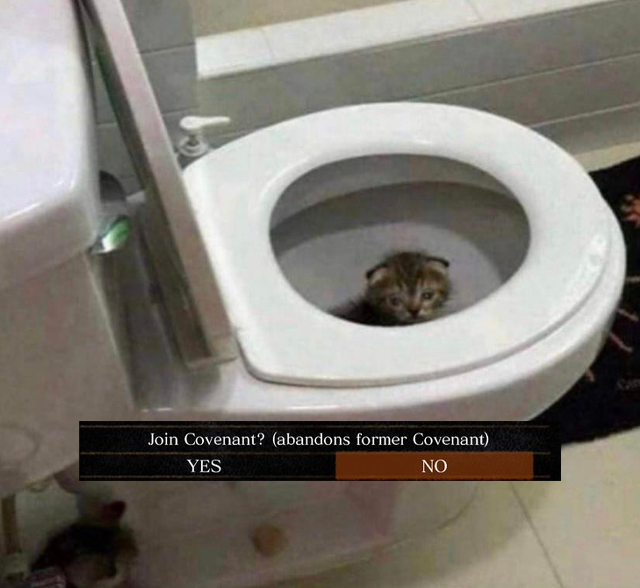 dark souls toilet tweet media
