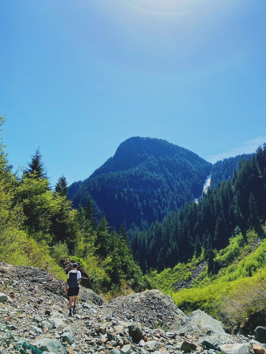 jordanwolfeABT's tweet photo. Evans Creek Trail at Golden Ears Provincial Park is an absolutely gorgeous, moderately rated hike through dense forest and open clearings #AdventureFV #ABTatUFV https://t.co/Y405a0BFcK