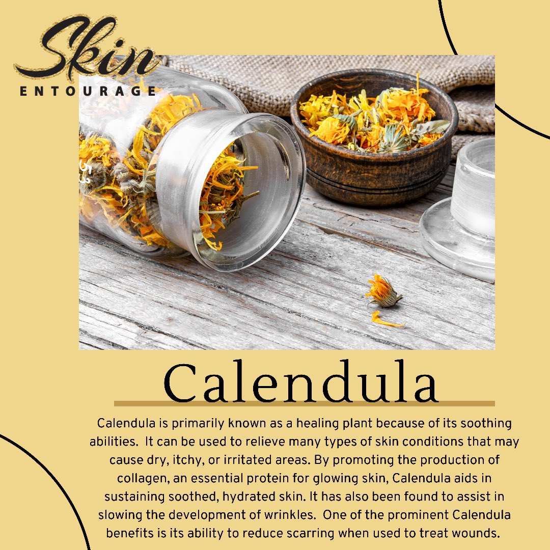 SkinEntourage2's tweet photo. Calendula is one of the key ingredients in our Complete Care Serum and Holy Grail Face Butter! Super nutritious skin food! 😊⠀⠀⠀
⠀⠀⠀
Visit our website to see full ingredients and benefits of our products! 
https://t.co/6vD5hGjqyt https://t.co/GX63s1JPbP