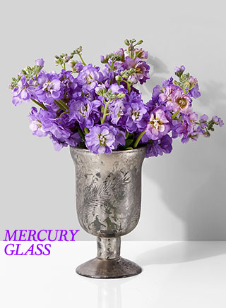 JamaliGarden's tweet photo. Buy more, save more. Get up to 30% OFF glass vases when you buy by the case florists, #brides, and #eventprofs.- https://t.co/AeFDQg3otw https://t.co/nQ2p1rM2aF