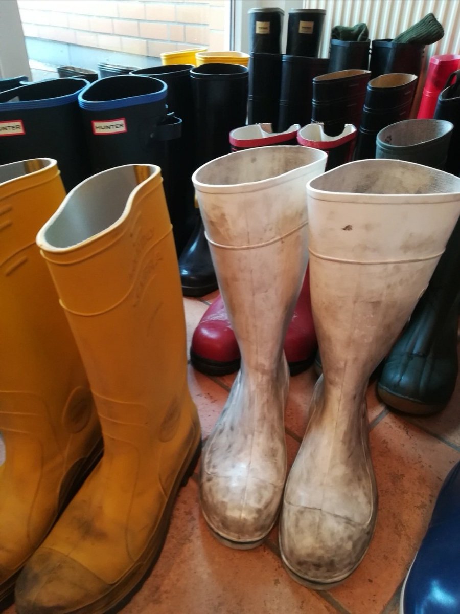 Oswald Bukowsky tweet media