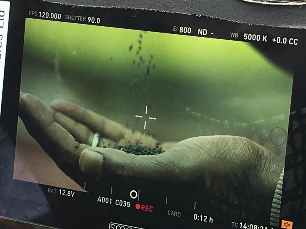 📸BTS from a phenomenal new film for one of the top names in plant based nutrition 🌱
Using local crews and a stunning location were just a few of the factors for the films success.
Very pleased with the final result on this one 📽
Stay tuned for the outcome...
-Atomized Studios-