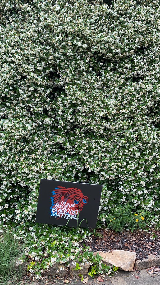 DrRubyeSullivan's tweet photo. #PlantsofSDP https://t.co/g8lb4RWlQ9