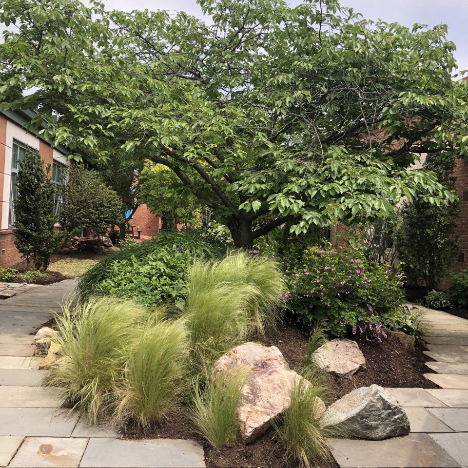 NTMKnightsAPS's tweet photo. Thanks to our Nottingham PTA and Andy's Lawn Service. What a beautiful courtyard! https://t.co/lqLYEeEVKQ