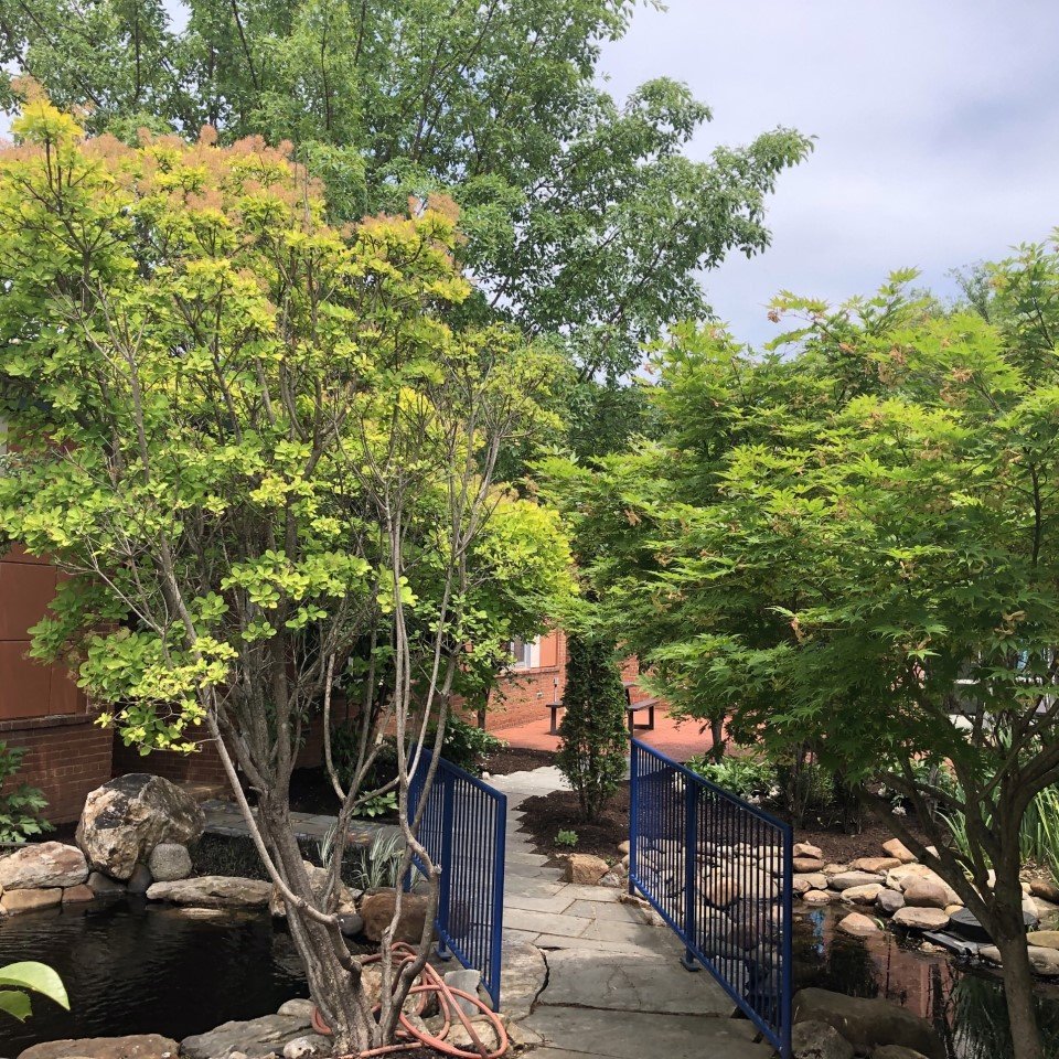NTMKnightsAPS's tweet photo. Thanks to our Nottingham PTA and Andy's Lawn Service. What a beautiful courtyard! https://t.co/lqLYEeEVKQ
