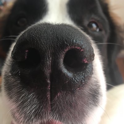 Dr_Baroopi's tweet photo. #NewProfilePic https://t.co/ljp9EtYuWq