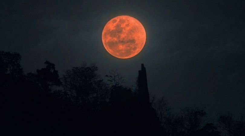 News__Mty's tweet photo. Primer #eclipse lunar del 2021
El día de mañana se presentará de un increíble fenómeno astronómico, ya que ocurrirá el primer eclipse #lunar del 2021. Mejor conocido como ‘’Luna de Sangre’’. https://t.co/A0nObGe2DZ