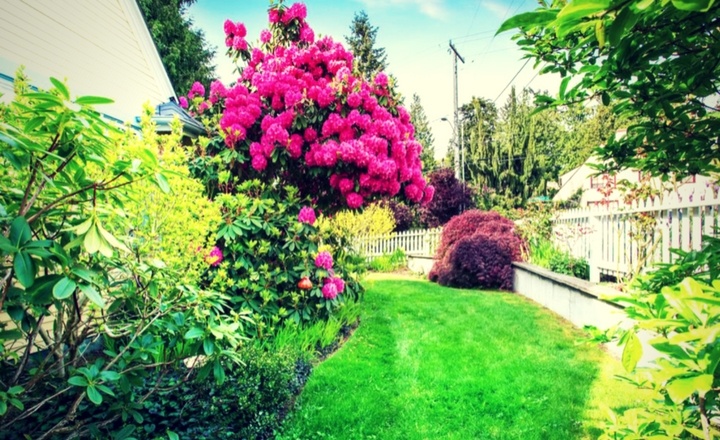 TIP: The healthier your yard and landscape are before summer begins, the easier it is going to be to maintain its health through the hot summer.