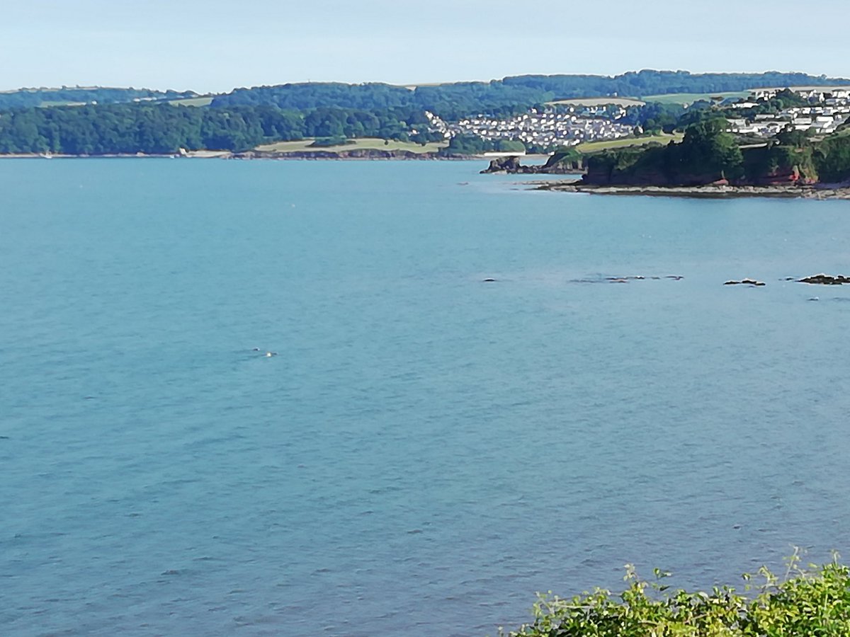 StammerCourse's tweet image. You can&apos;t beat living by the sea... #Torquay #Torbay