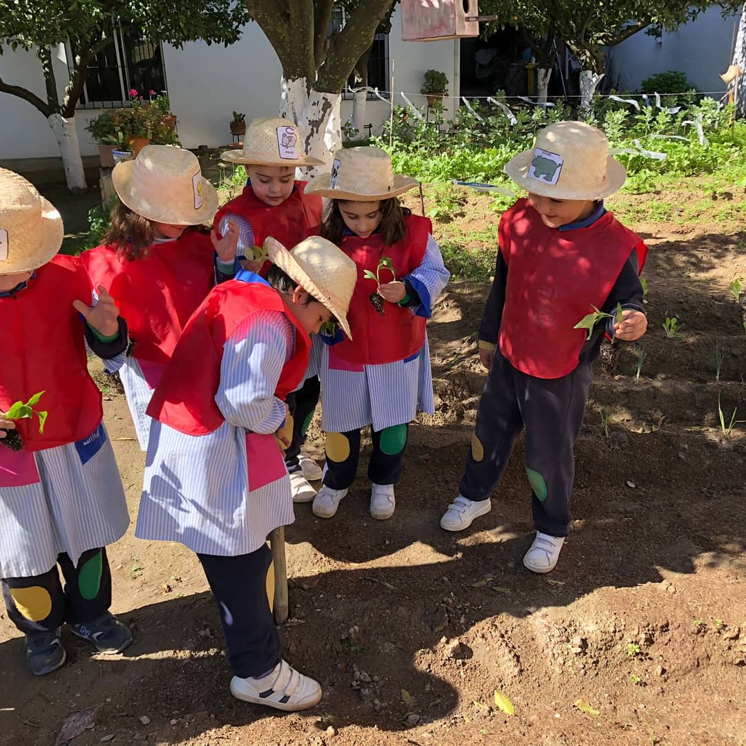¡LLEGÓ LA HORA DE RECOLECTAR!
¡Nuestro huerto comienza a dar sus frutos!🥬🥬
Los alumnos de infantil de cinco años han disfrutado a lo grande cuando han recolectado sus acelgas y lechugas.
#masqueaulas
#Nosencantanuestrocole
#proyectohuerto