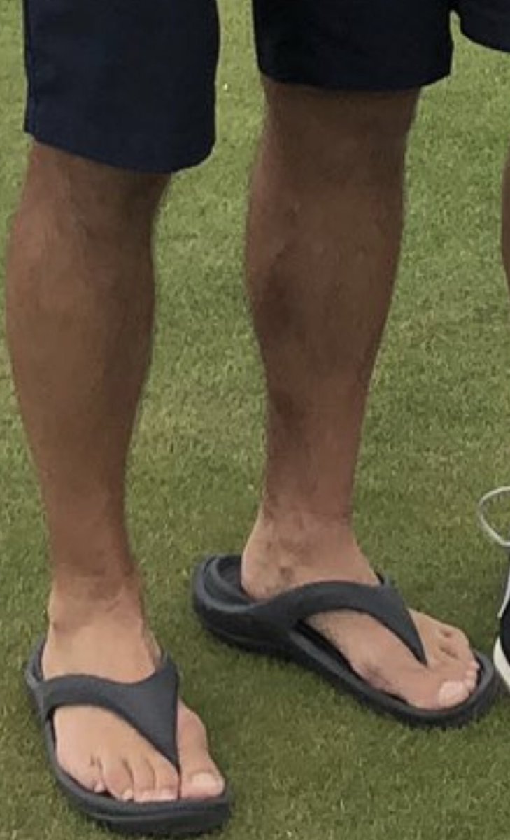 The Cabot Cup tweet media