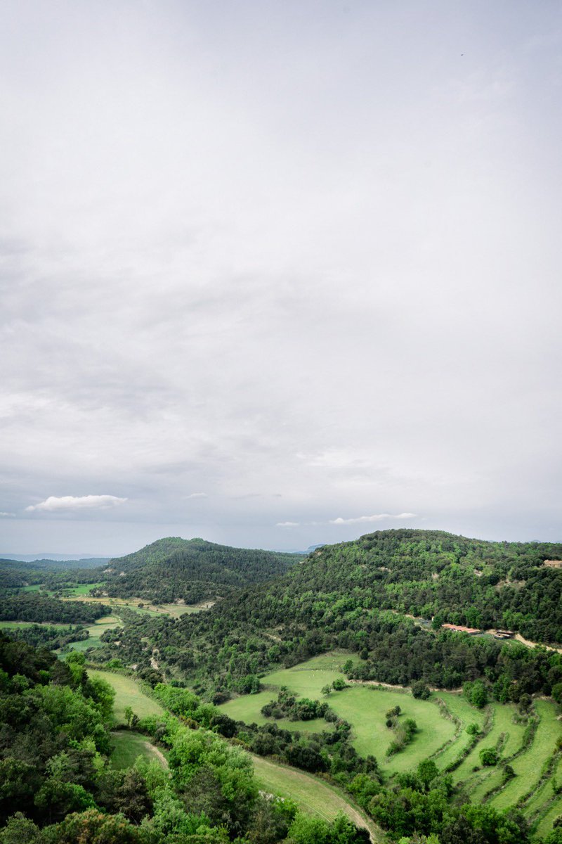 solracwk's tweet photo. Montseny

#landscape #hike #photonature https://t.co/3ItxHcFUJq