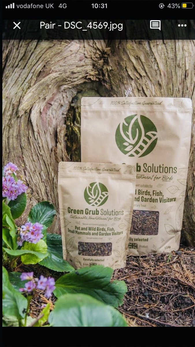 Excited to be stocked by @smallworldvets . Green Grub Solutions provides a sustainable and nutritious alternative to mealworms 🐛 #sustainablevet #insects #ForNature