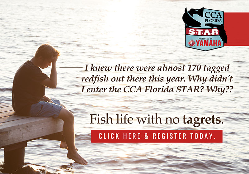 CCANational's tweet photo. ✍ REGISTER NOW ✍ to compete for 💲5️⃣0️⃣0️⃣,0️⃣0️⃣0️⃣ in prizes and scholarships for 1️⃣0️⃣1️⃣ days of fishing in the LARGEST family-friendly saltwater fishing competition in Florida ➡ https://t.co/7zgTfdw3hq

#JoinCCA #NoTagrets https://t.co/wX9WUNBWEp