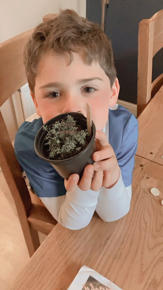 DiDbasnett's tweet photo. @yr2melthamce R’s cress is coming on strong now 😬 https://t.co/7qYdtJWq2Z